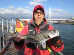 尼崎市魚つり公園　ウキ釣りでスズキ72cm…