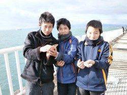 南港海釣り公園　アジ・ガシラなどの釣果