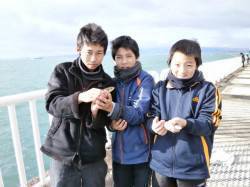 南港海釣り公園　アジ・ガシラなどの釣果