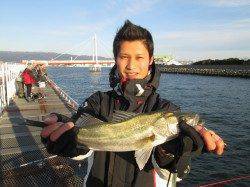 エビ撒きではハネ、セイゴのアタリが止まりません！尼崎市魚つり公園
