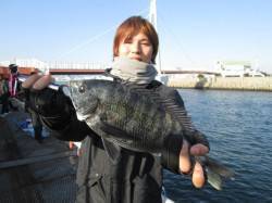 尼崎市魚つり公園、シラサでハネ・セイゴ　サ…