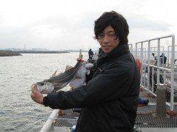 早朝の尼崎市魚つり公園でエビ撒き　ハネ、セイゴ