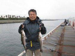 早朝の尼崎市魚つり公園でエビ撒き　ハネ、セイゴ