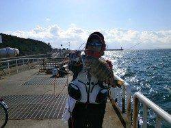 今年最後の南港海釣り公園、チヌ45cmの大物も!