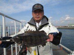 尼崎市魚つり公園 ズボ釣りでハネ&チヌ