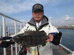 尼崎市魚つり公園　ズボ釣りでハネ＆チヌ