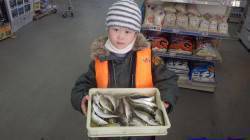 新芳養堤防　サビキのアジは早朝の釣果