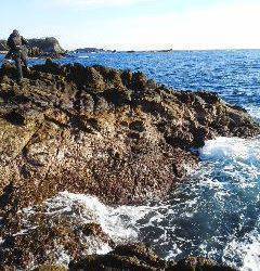 和深・深見渡船で双子の子へフカセ釣りに