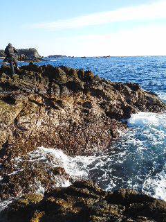 和深・深見渡船で双子の子へフカセ釣りに