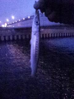 ストラクチャー周りでタケノコメバル連発！