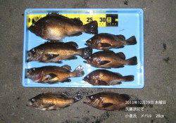 久美浜でふくよかな良型メバル【19日の釣果】