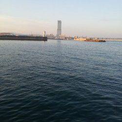 佐野漁港　午前中のフカセ釣りでチヌ狙い