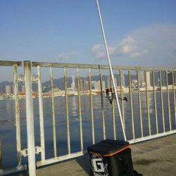 北公園　投げ釣りでアナゴ・ガシラ・キスの釣果☆