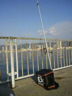 北公園　投げ釣りでアナゴ・ガシラ・キスの釣果☆