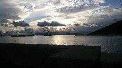 30分間のウキ釣りでメバル・キス