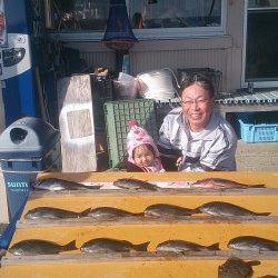 萩尾の渡船釣果　フカセでグレが釣れています