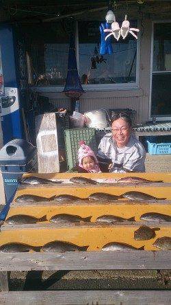 萩尾の渡船釣果　フカセでグレが釣れています