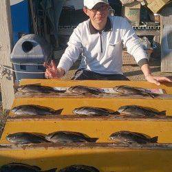 串本の磯フカセでグレが好調です！