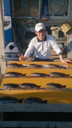 串本の磯フカセでグレが好調です！