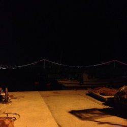 新浜漁港のメバリングでガシラ