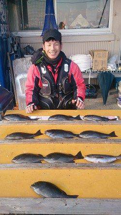 渡船を利用してフカセ釣り　グレ好釣です♪