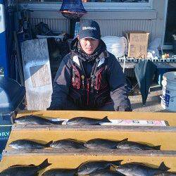 渡船を利用してフカセ釣り　グレ好釣です♪