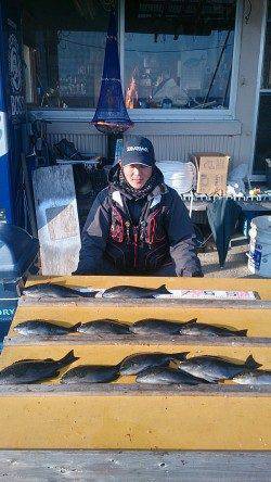 渡船を利用してフカセ釣り　グレ好釣です♪