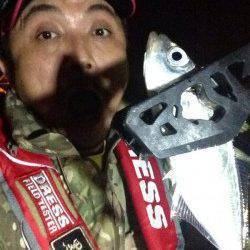 大阪南港 時合いが短い中でのアジング釣行