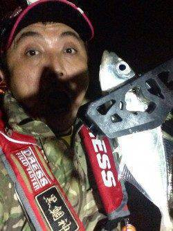 大阪南港 時合いが短い中でのアジング釣行