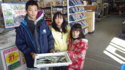 新芳養漁港　サビキのアジ釣り好調☆