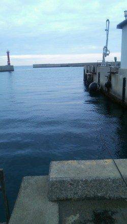 洲本港でエビ撒き釣り&メバリング