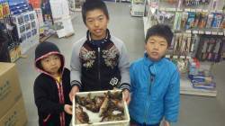 みなべ堺漁港、オキアミでガシラを楽しみまし…