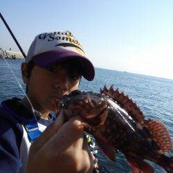 東二見人工島の穴釣りでガシラ20匹♪