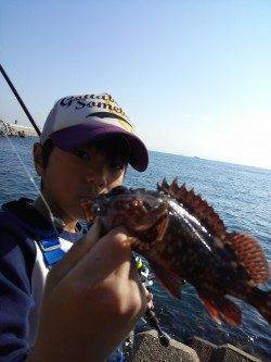 東二見人工島の穴釣りでガシラ20匹♪
