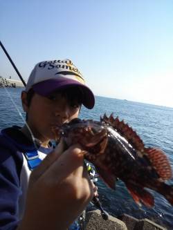 東二見人工島の穴釣りでガシラ20匹♪