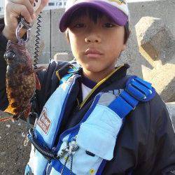 東二見人工島の穴釣りでガシラ20匹♪