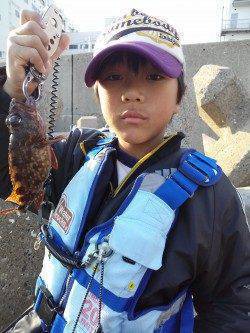 東二見人工島の穴釣りでガシラ20匹♪