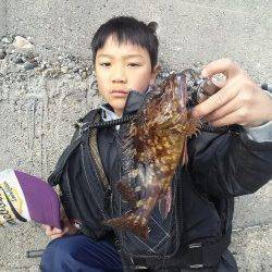 風裏のテトラ帯を攻めてガシラ8匹