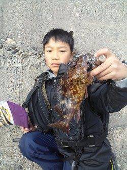 風裏のテトラ帯を攻めてガシラ8匹