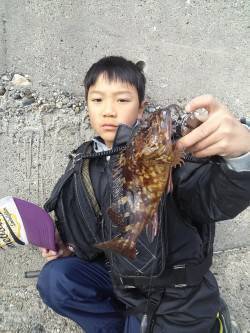 風裏のテトラ帯を攻めてガシラ8匹