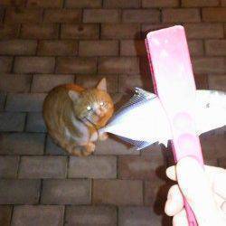 底～中層のただ引きに少しアクション、がヒットパターン