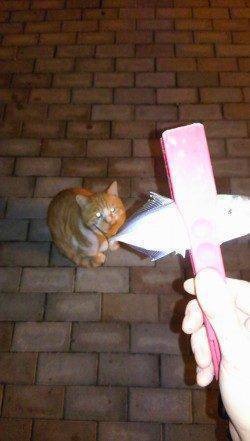 底～中層のただ引きに少しアクション、がヒットパターン