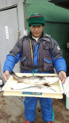 アジの飲ませ釣りでスズキ&ハマチ　沖の一番にて