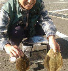 本日もカレイがポロポロ、青イソメで投げ釣り