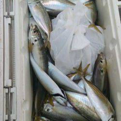 岸和田一文字　サビキのアジまだまだ狙えます