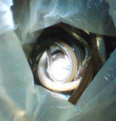 倉庫前でアナゴ釣り、唐揚げも美味しく満足釣行♪