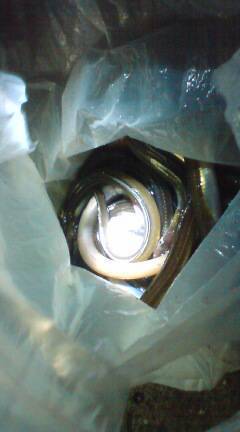 倉庫前でアナゴ釣り、唐揚げも美味しく満足釣…