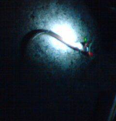 倉庫前でアナゴ釣り、唐揚げも美味しく満足釣行♪