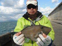 北港釣り公園　セイゴ・メバル・グレ・ウマヅラ☆