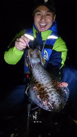 今年最後のエギングで1380gのアオリイカ…